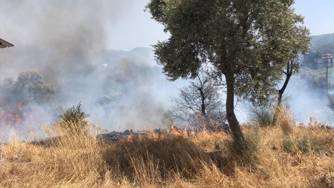 Bodrum'da Zeytinlik ve Otluk Alanda Yangın Kontrol Altına Alındı