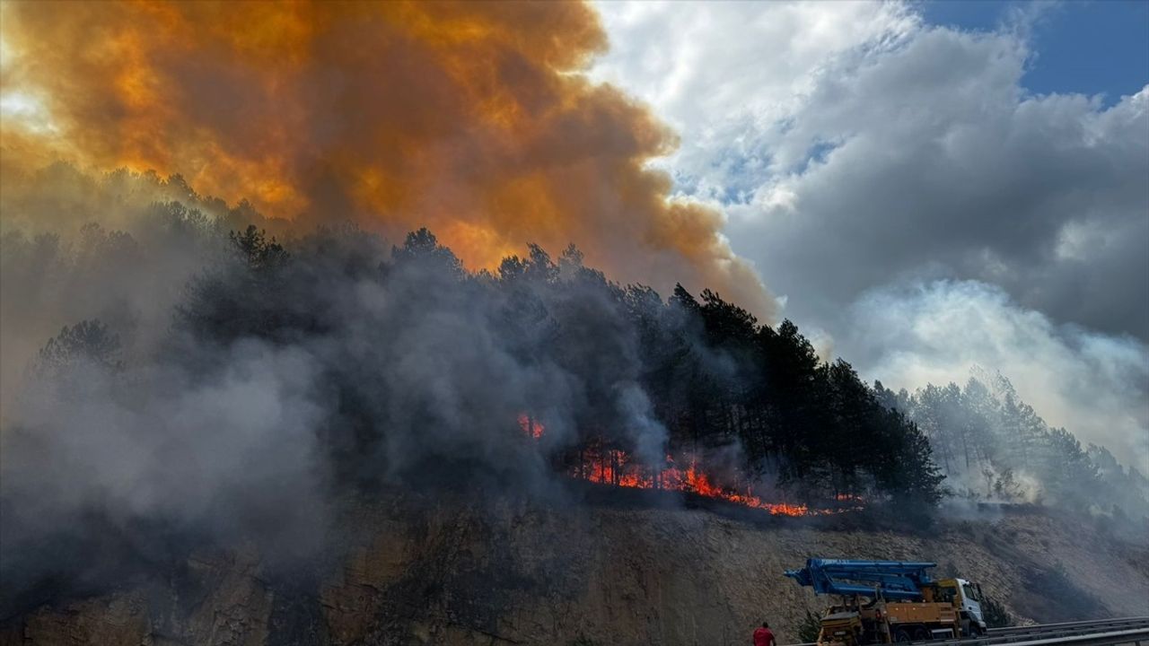 Bolu'da Orman Yangınına Müdahale Devam Ediyor