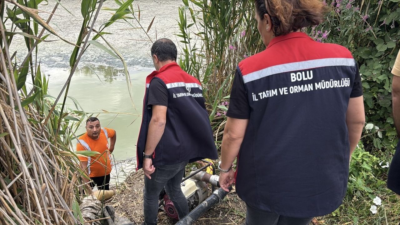 Bolu'daki Gölette Balık Ölümleri Üzerine İnceleme