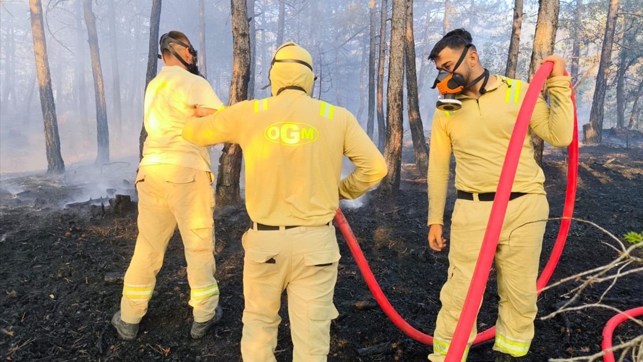 Bolu'daki Orman Yangınında Soğutma Çalışmaları Devam Ediyor