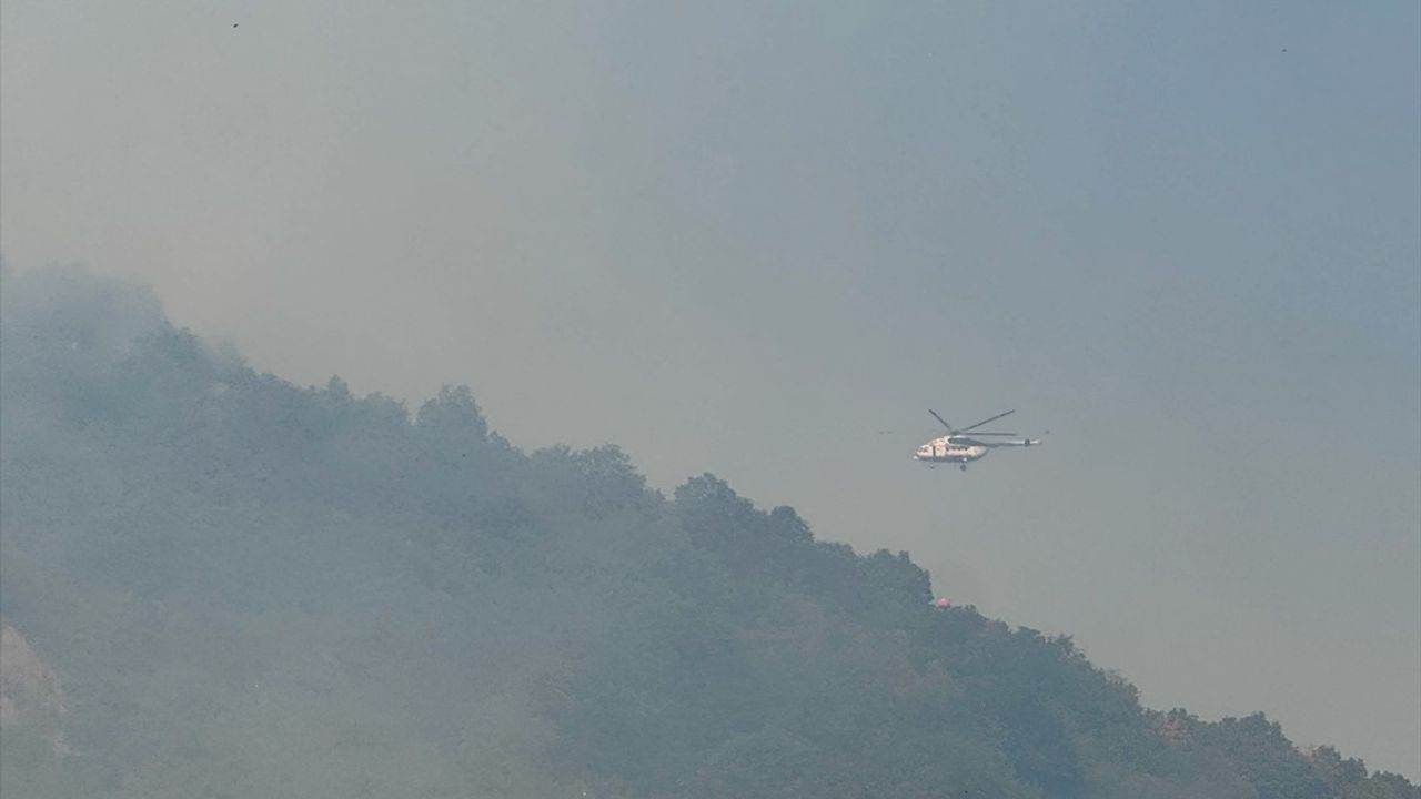 Bursa İznik'te Yangın Kontrol Altına Alındı