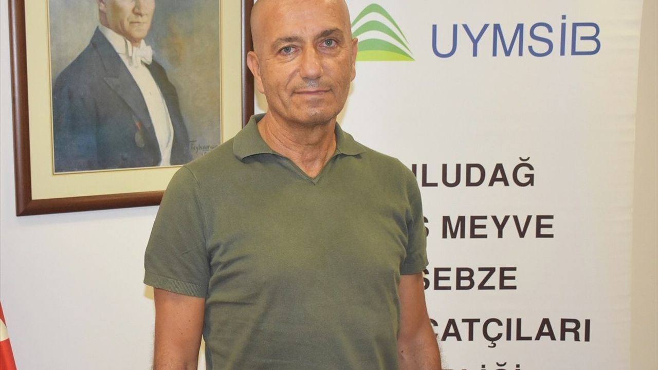 Bursa Siyah İncirinin İhracat Sorunları Giderilmeli