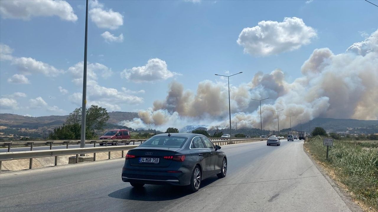 Çanakkale'de Tarım Arazisinde Başlayan Yangın Ormana Sıçradı