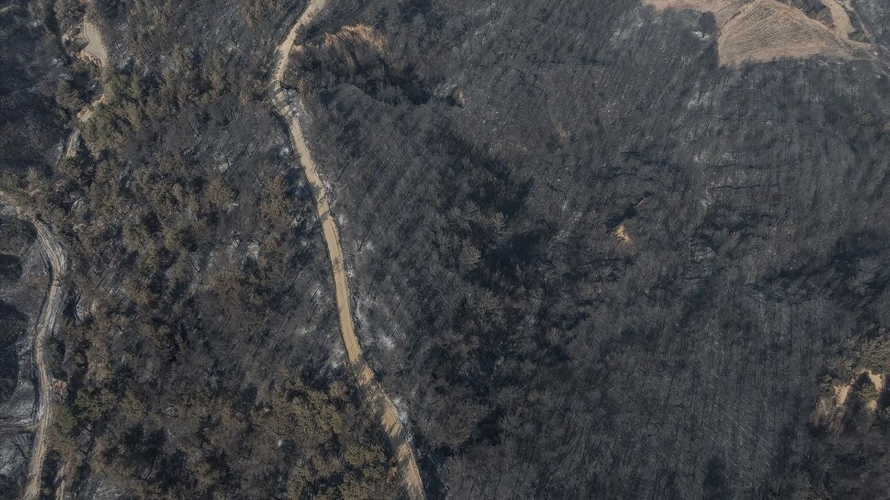 Çanakkale'deki Orman Yangını ve Müdahale Çalışmaları