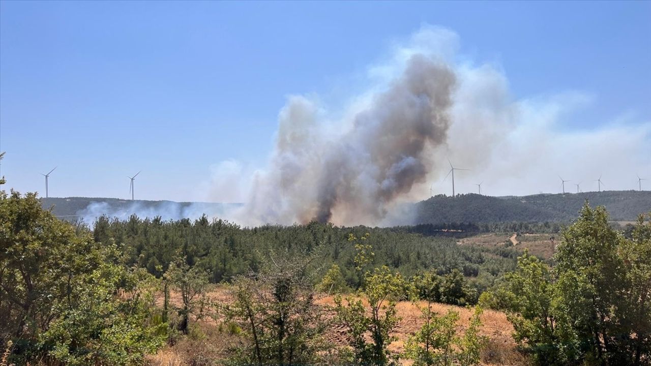 Çanakkale'deki Orman Yangınına Müdahale Başladı