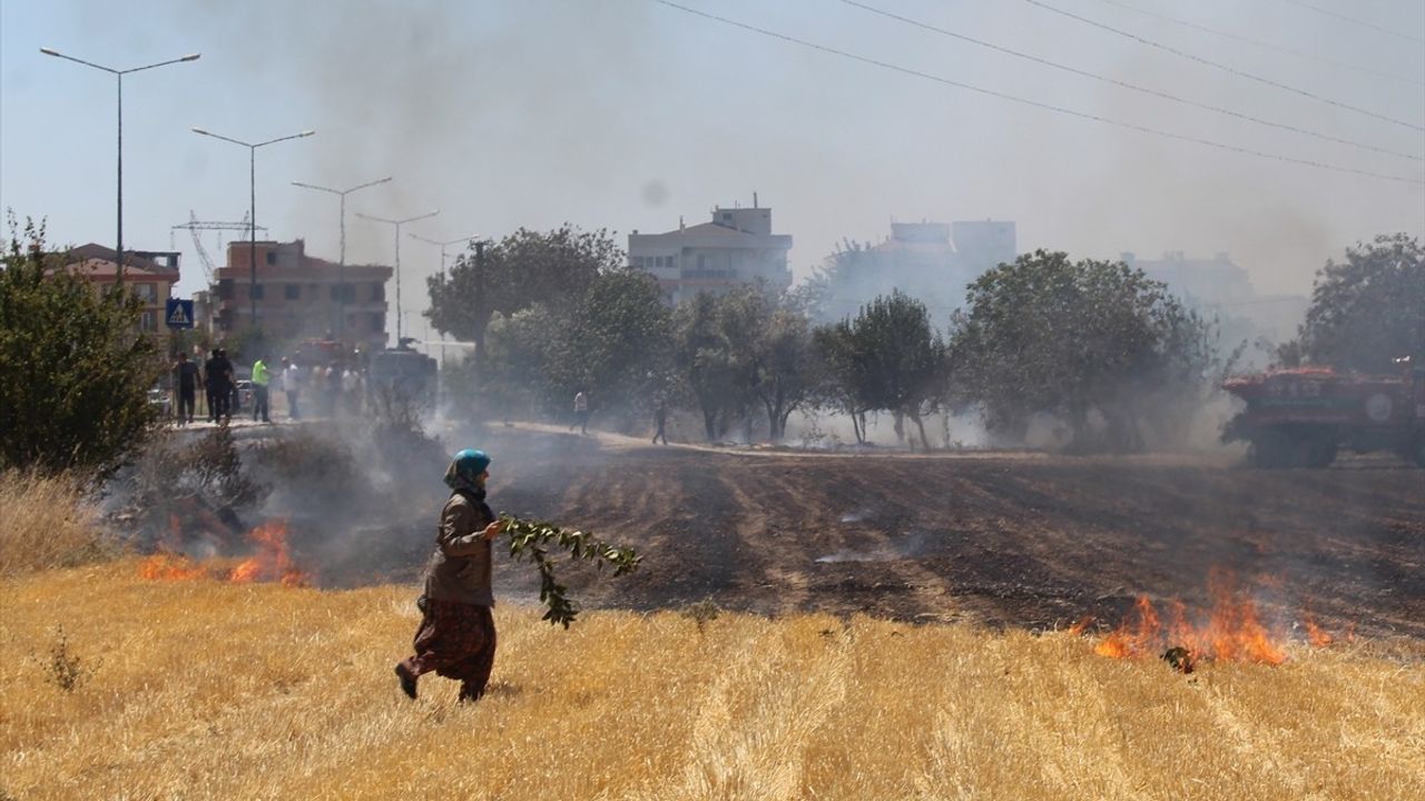 Çanakkale'deki Otluk Alan Yangınına Müdahale Devam Ediyor