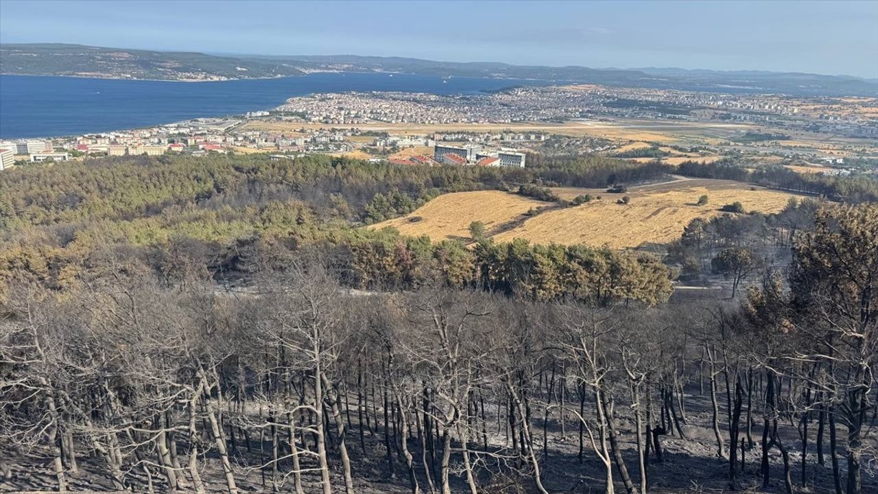 Çanakkale'deki Yangın Kontrol Altına Alındı