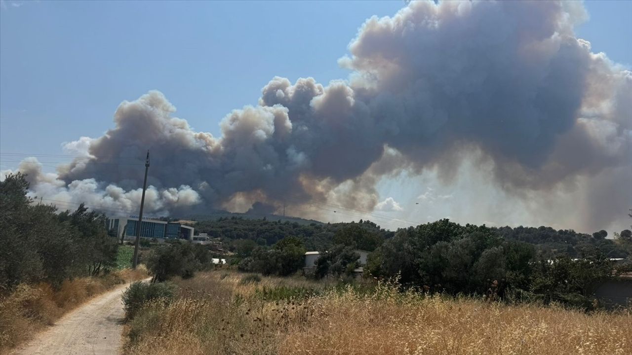 Çanakkale'deki Yangın Kontrol Altına Alınmaya Çalışılıyor