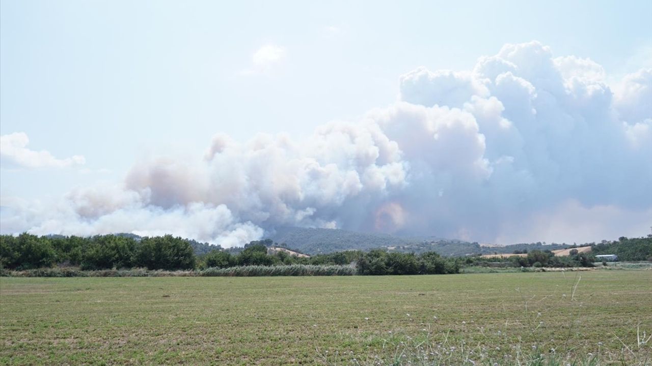 Çanakkale'deki Yangına Hızla Müdahale Ediliyor