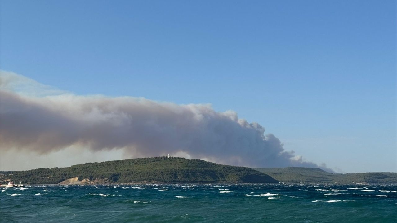 Çanakkale Gelibolu'daki Orman Yangınında Yangın Söndürme Çalışmaları Sürüyor