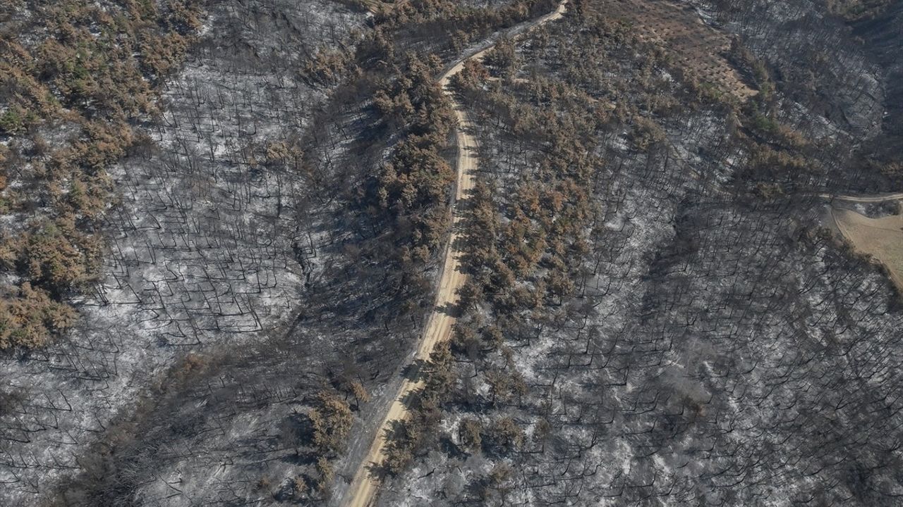 Çanakkale Gelibolu'daki Yangın Alarmı: Dronla Görüntülendi
