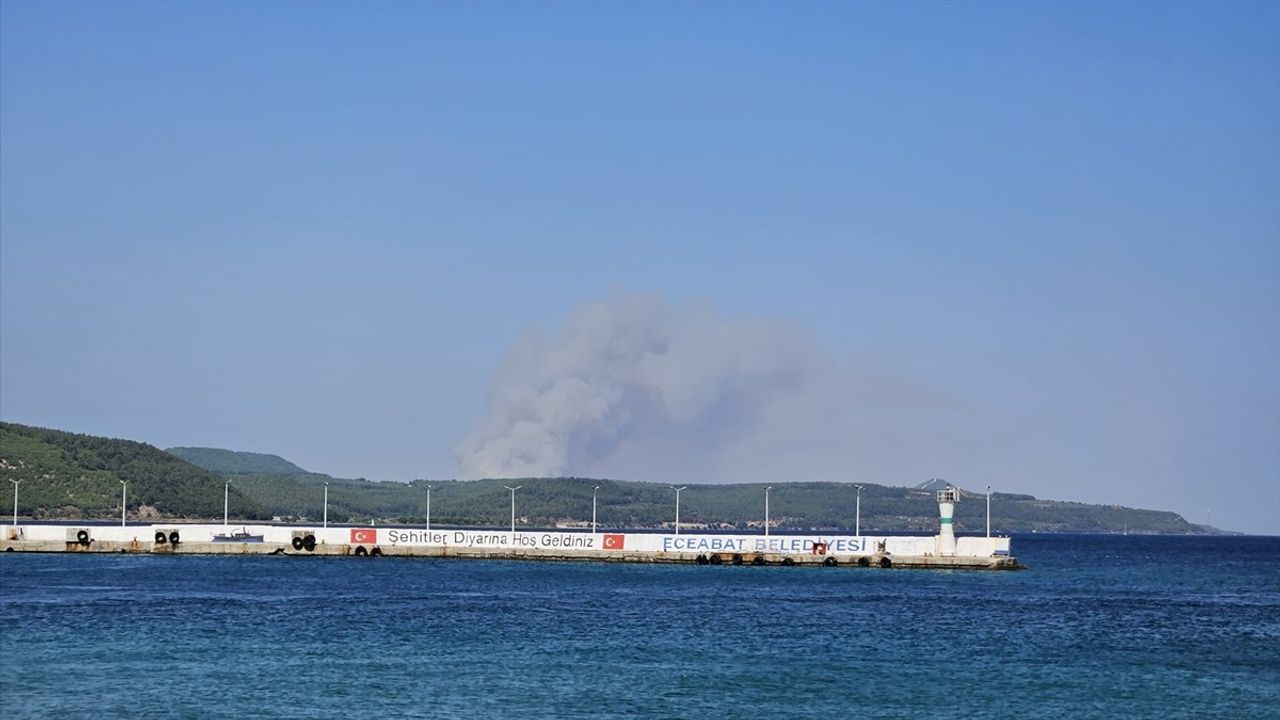 Çanakkale Gelibolu'daki Yangın: Müdahale Çalışmaları Devam Ediyor