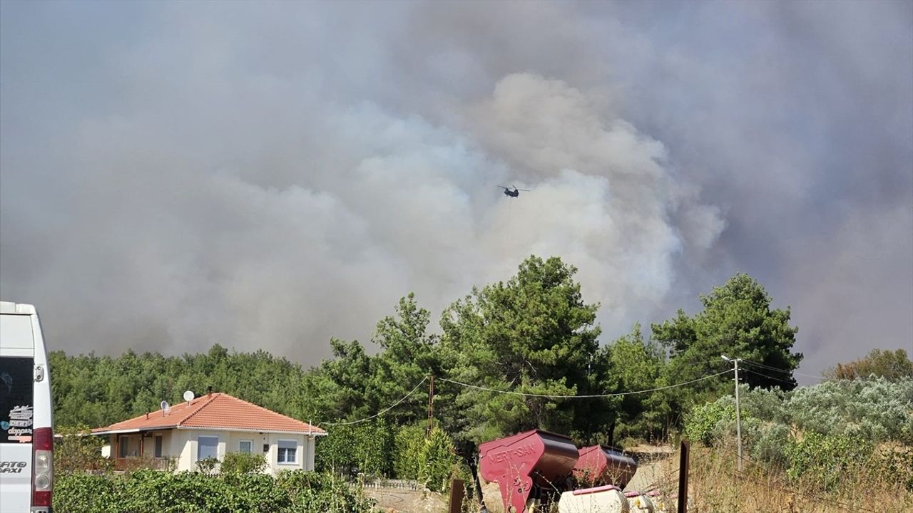 Çanakkale Gelibolu'daki Yangına Mücadele: Hava ve Karadan Ekipler Seferber Oldu