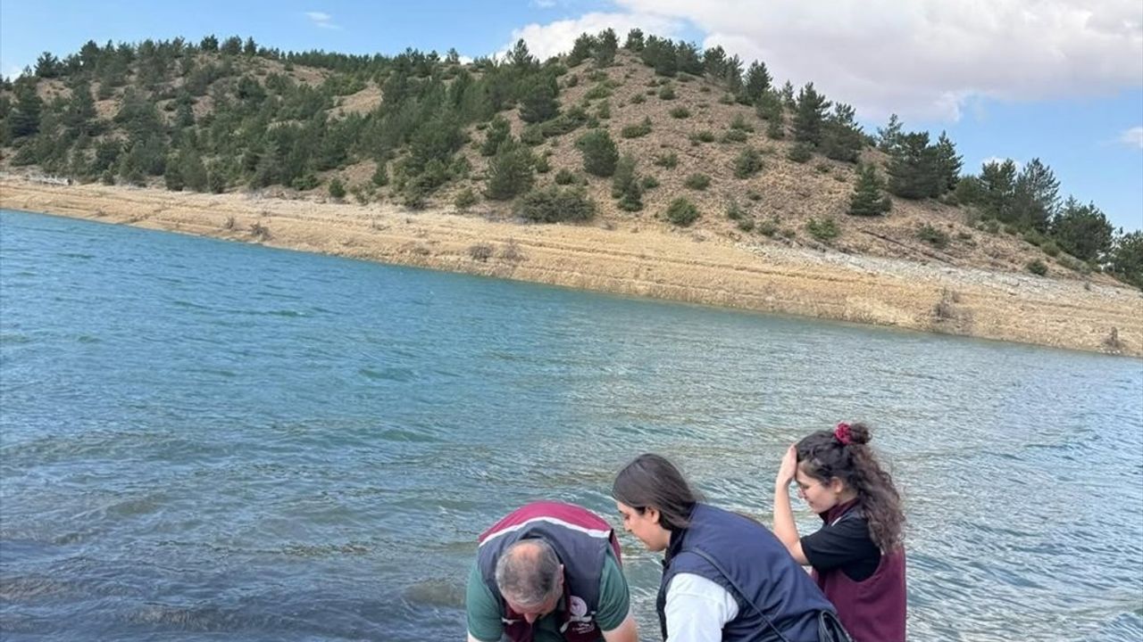 Çankırı'da 626 Bin Sazan Yavrusu İç Sulara Salındı