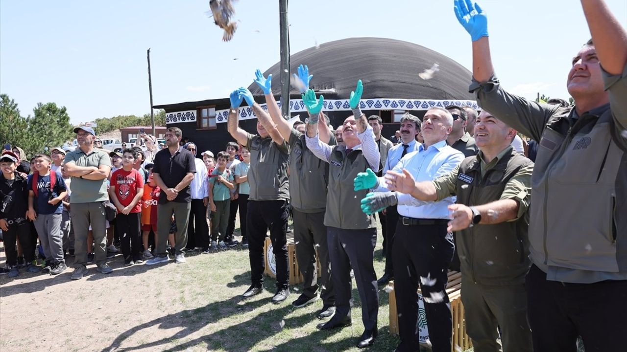 Çorum'da 300 Keklik Doğaya Salındı