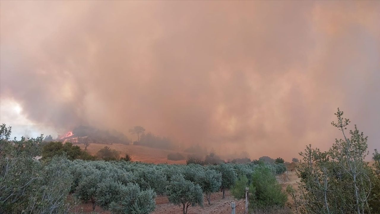 Denizli'de Orman Yangınına Müdahale Devam Ediyor