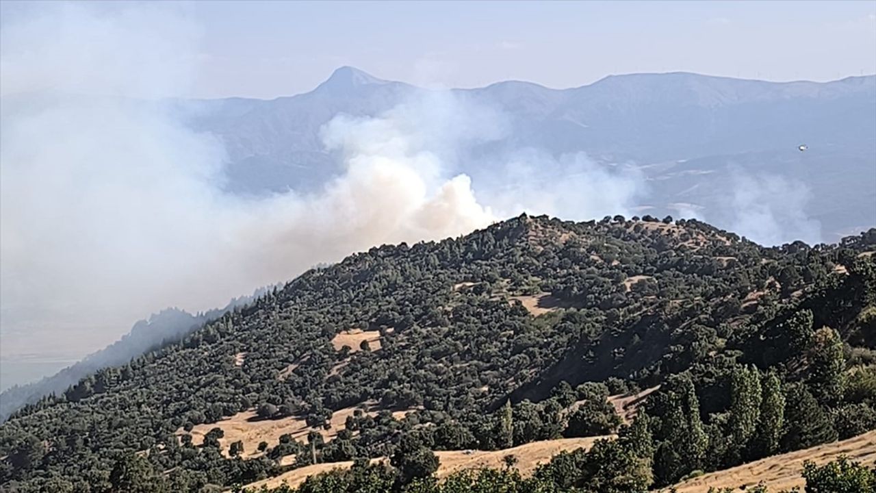 Denizli'deki Orman Yangınına Müdahale Devam Ediyor