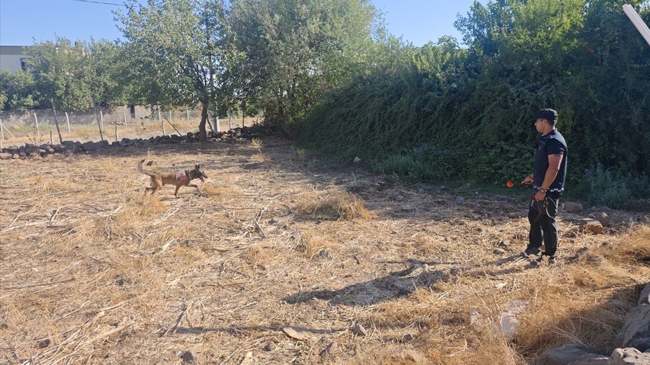 Diyarbakır'da Arazi Anlaşmazlığı Sebebiyle Kanlı Kavga