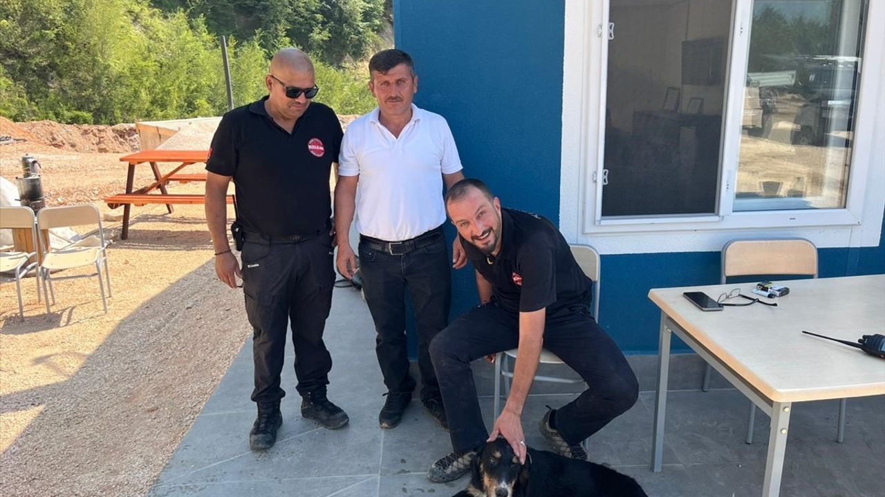 Düzce'de Kayalıklarda Mahsur Kalan Köpek Başarıyla Kurtarıldı