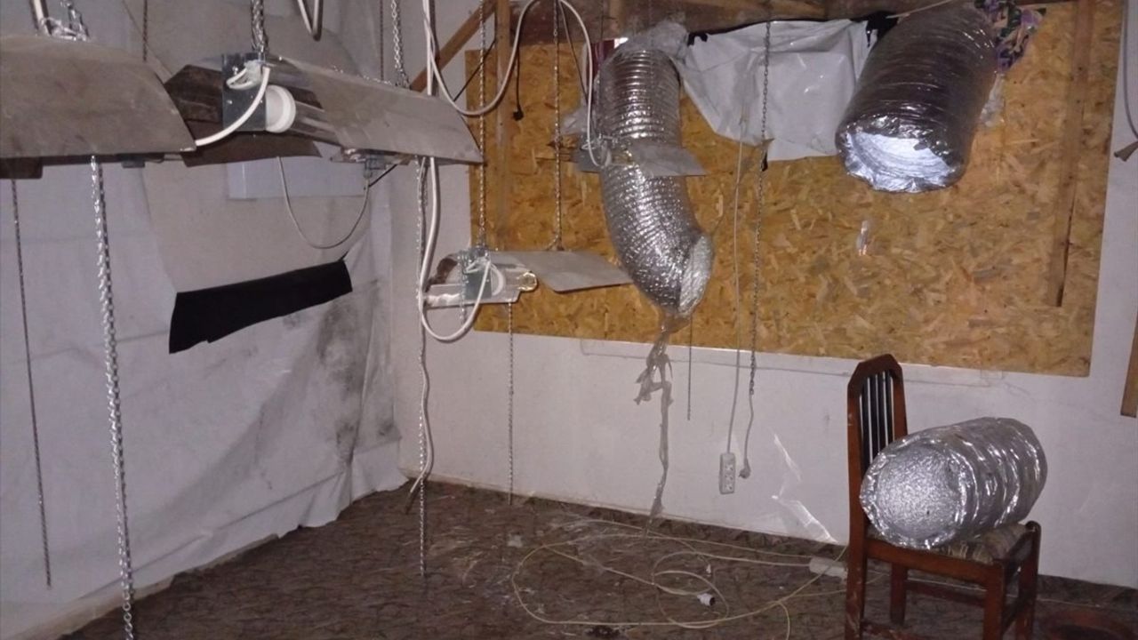 Düzce'de Kenevir Yetiştiricisine Operasyon: Zanlı Gözaltında