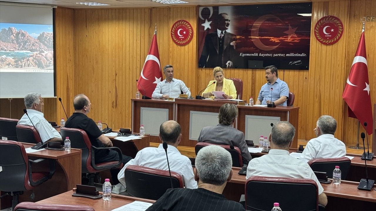 Edirne'de 2,860 Sahipsiz Köpek Barınaklara Taşındı