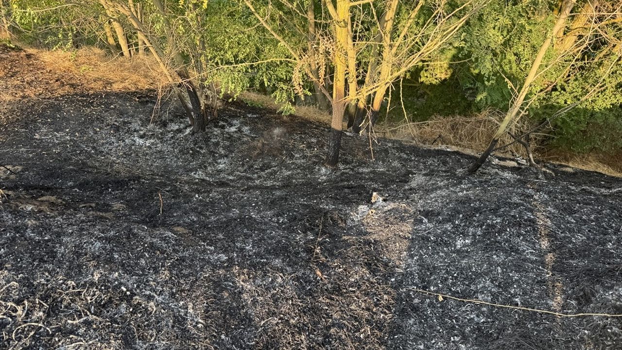Edirne'de Tunca Nehri Kenarında Yangın Kontrol Altına Alındı