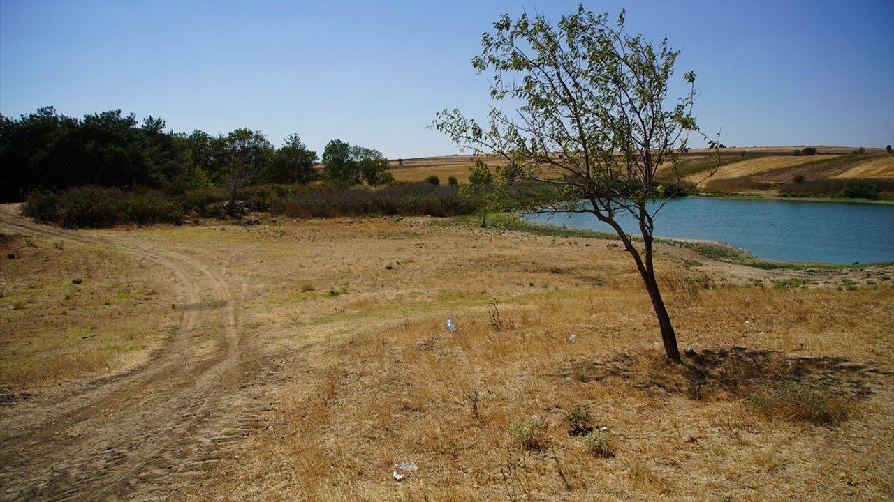 Edirne'deki Korucuköy Göleti'nde Su Seviyesi Düşmeye Devam Ediyor