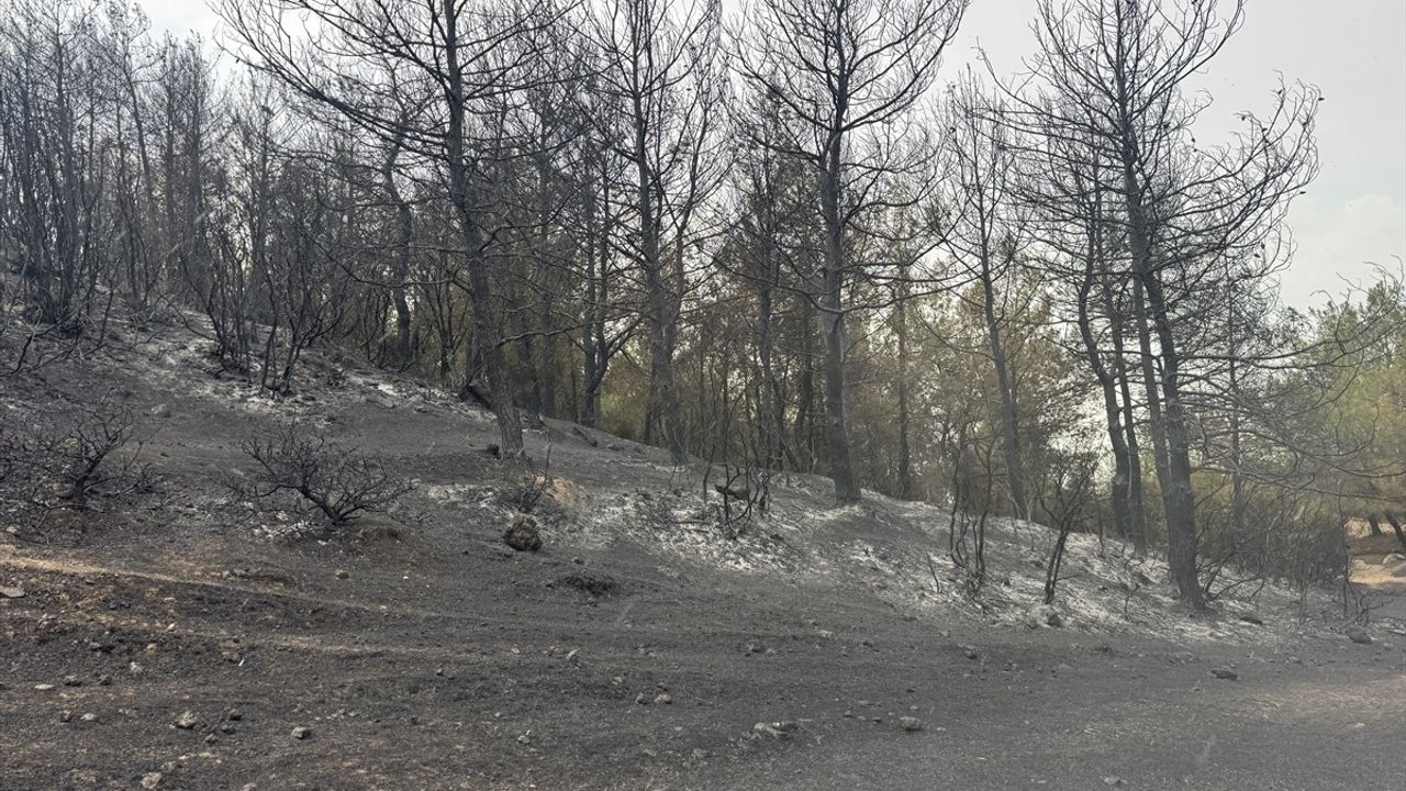 Edirne'deki Orman Yangını Kontrol Altına Alındı