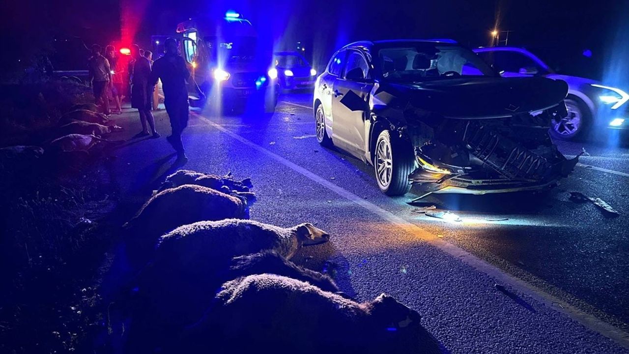 Erzincan'da trafik kazası 23 küçükbaş hayvana mal oldu