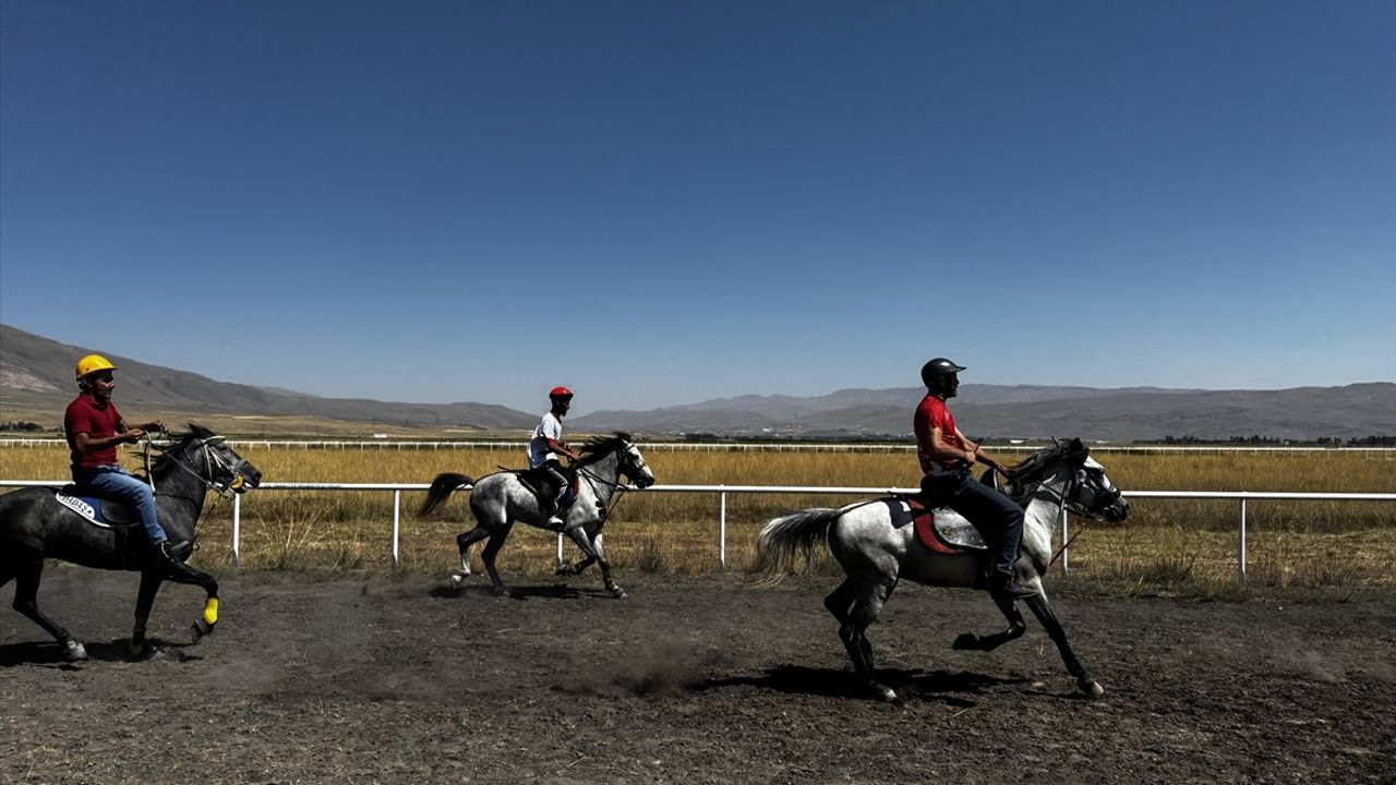 Erzurum'da Geleneksel Rahvan At Yarışları Coşkusu