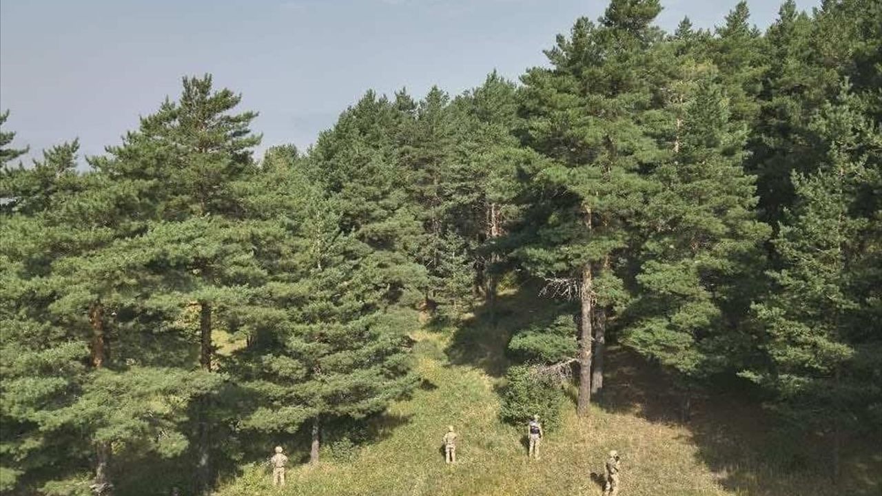 Erzurum'da Ormanlık Alanda Mangal Yakan İki Kişiye Cezai İşlem Uygulandı