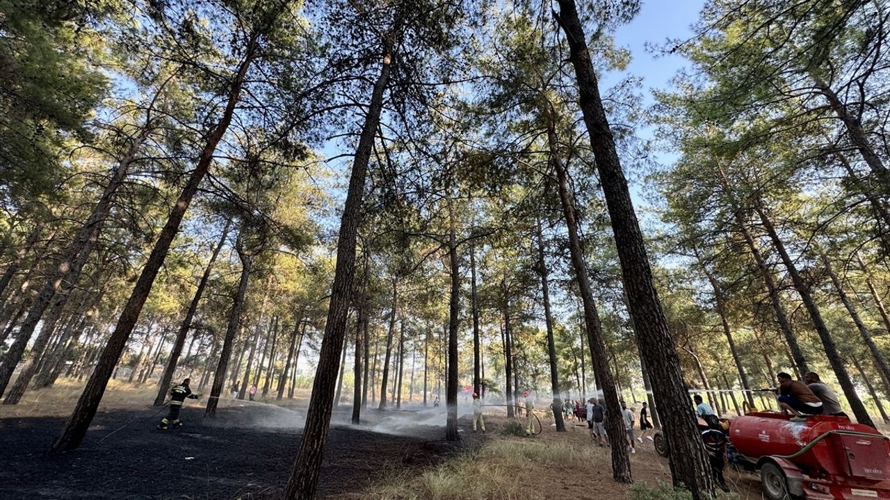 Fethiye'de Orman Yangını Kontrol Altına Alındı