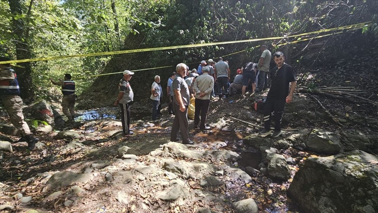 Fındık Toplarken Yamaçtan Düşen Yaşlı Adam Hayatını Kaybetti