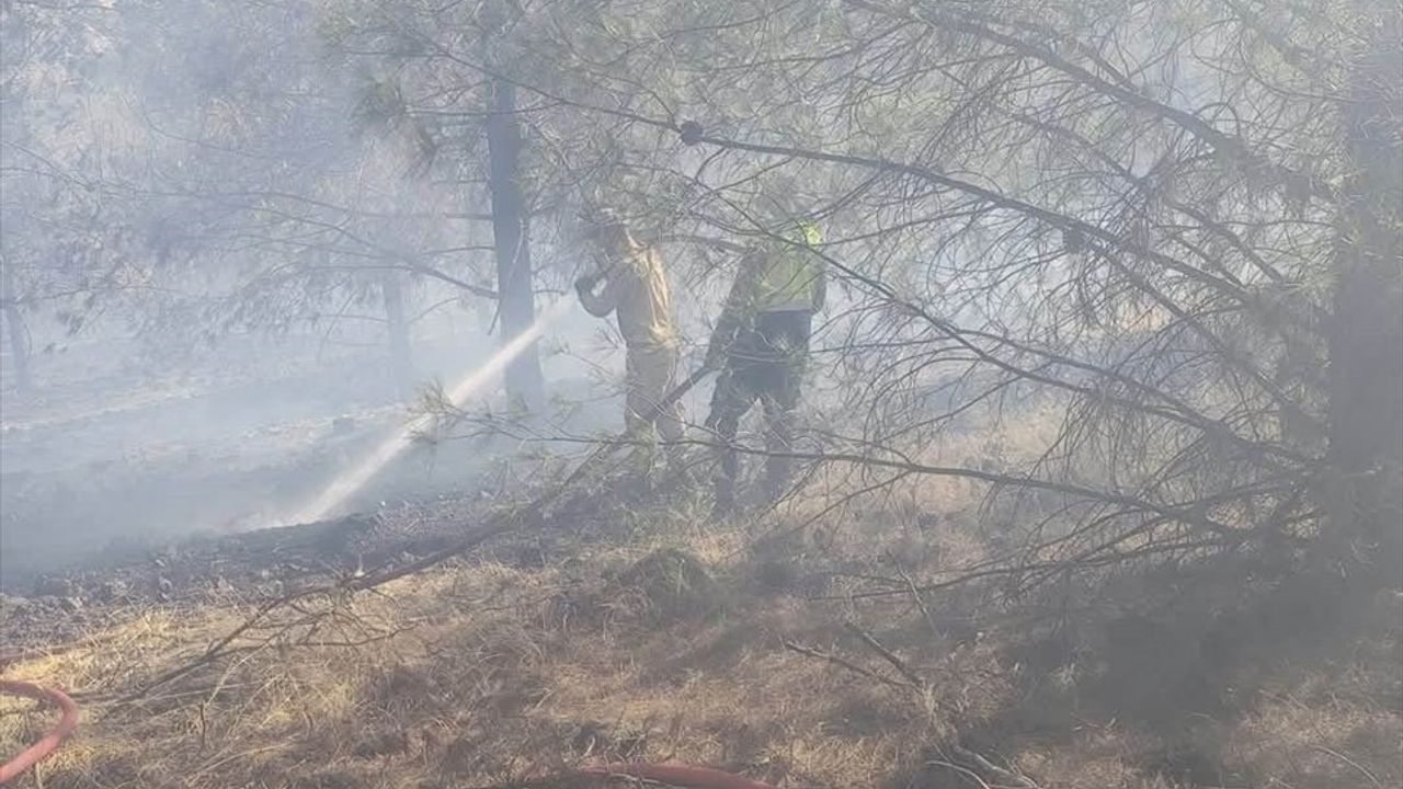 Gaziantep'te Orman Yangını Kontrol Altına Alındı