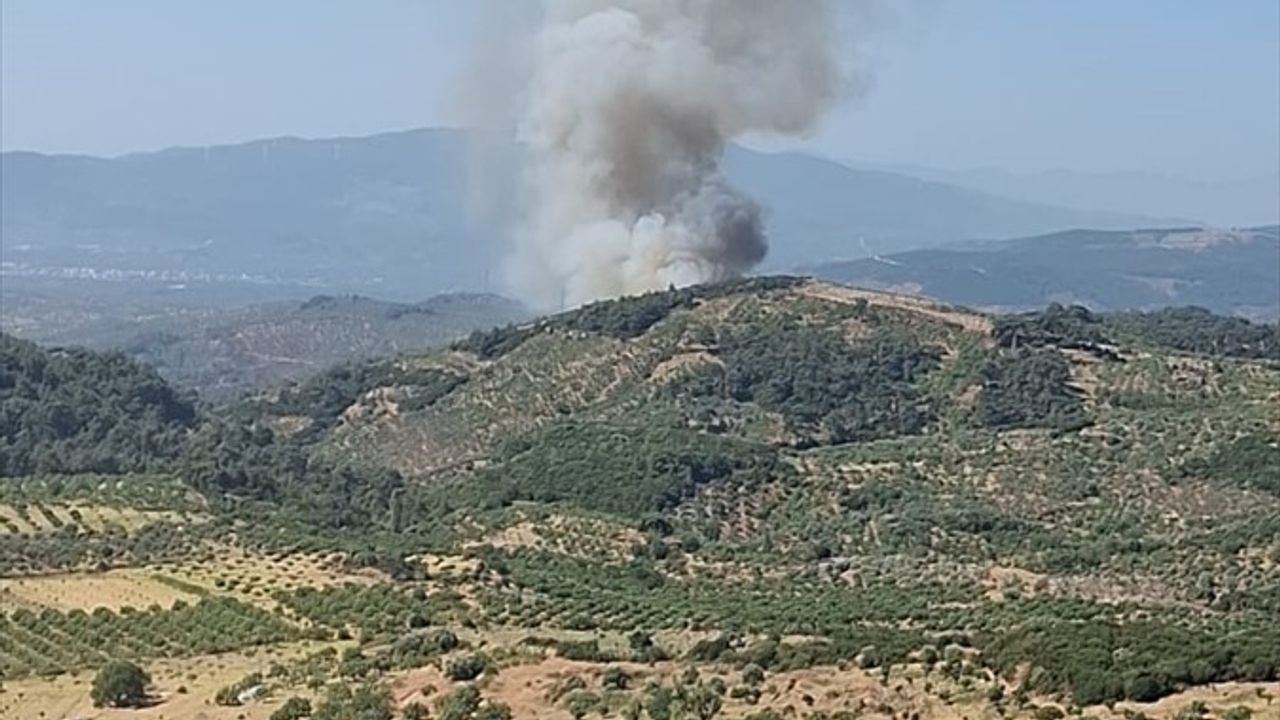 Germencik'te Orman Yangını Kontrol Altında