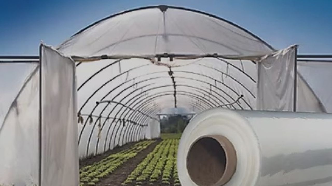 Gerze'de Çiftçilere Yeni Destek Projesi Başlatıldı