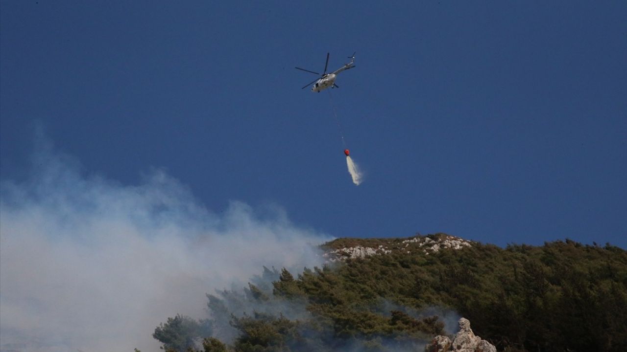 Hatay Antakya'da Orman Yangınına Hızlı Müdahale