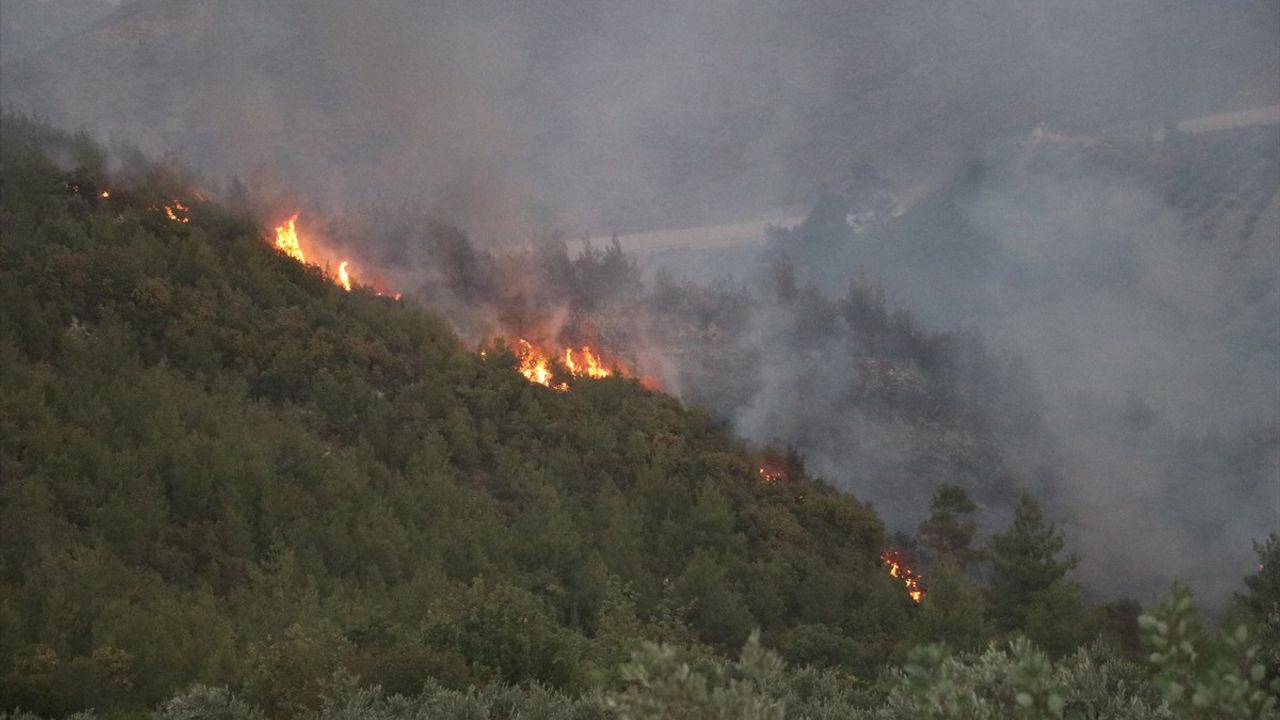 Hatay'da Orman Yangını: Müdahale Devam Ediyor