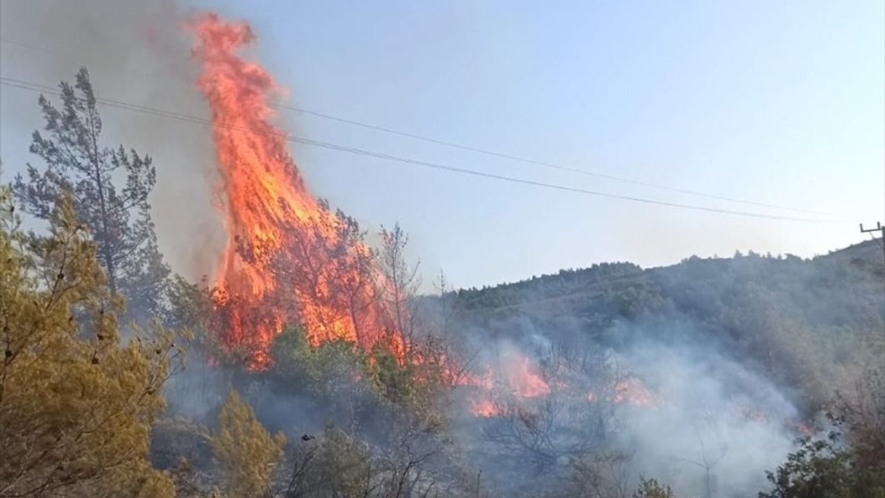Hatay'da Orman Yangınına Hızlı Müdahale