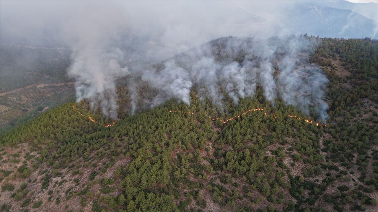 Hatay'da Orman Yangınına Hızlı Müdahale