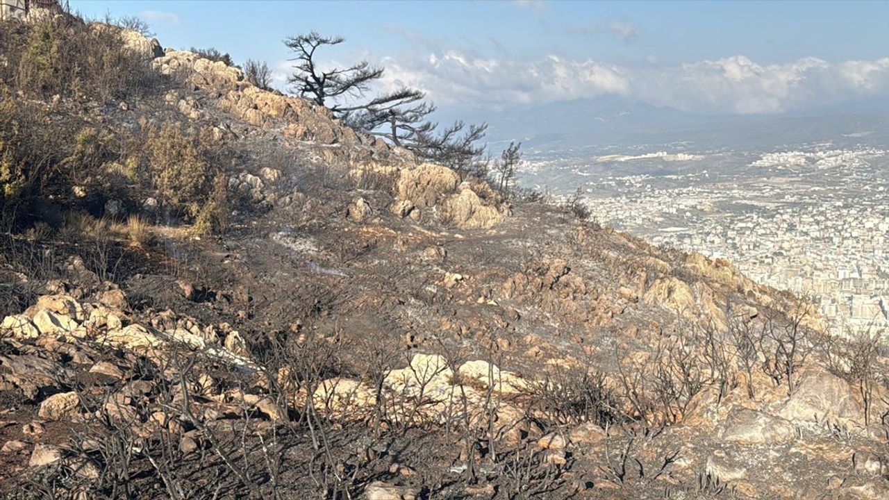 Hatay'daki Orman Yangını Kontrol Altına Alındı