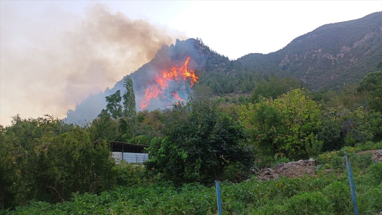 Hatay Kırıkhan'da Orman Yangını Tüm Hızıyla Kontrol Altına Alınıyor