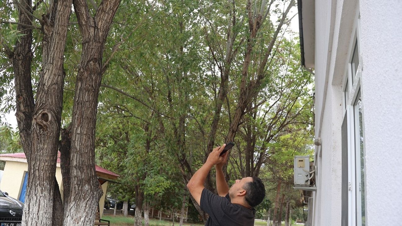 Iğdır İl Özel İdaresi'nin Yeni Maskotu: Alaca Ağaçkakan