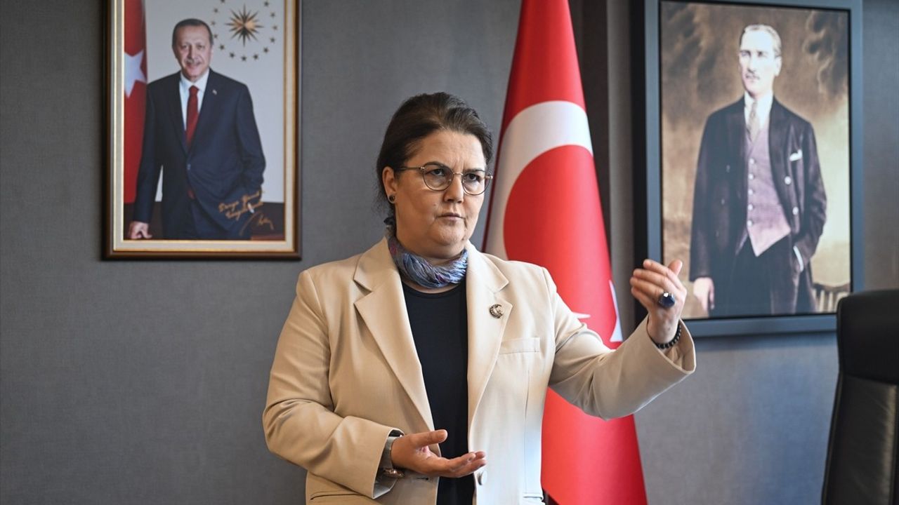 İsrail'in Filistin'e Saldırıları Üzerine TBMM'den Çağrı