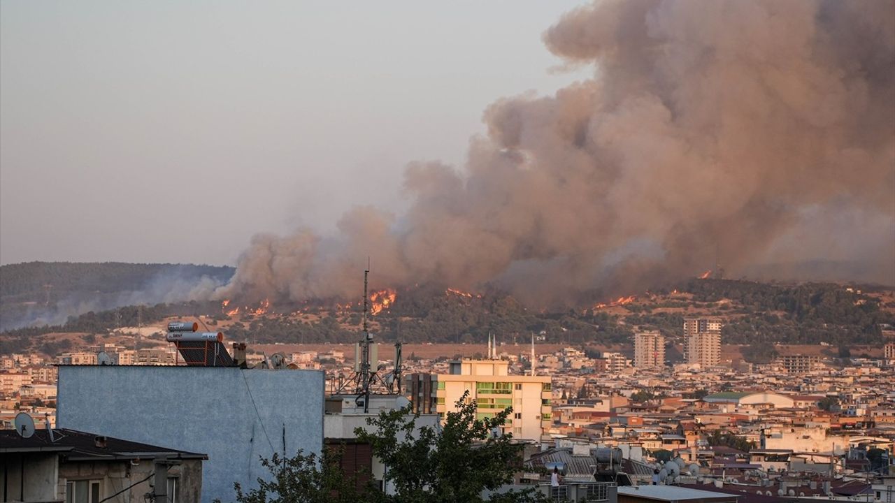 İzmir Buca'da Orman Yangınına Hızlı Müdahale