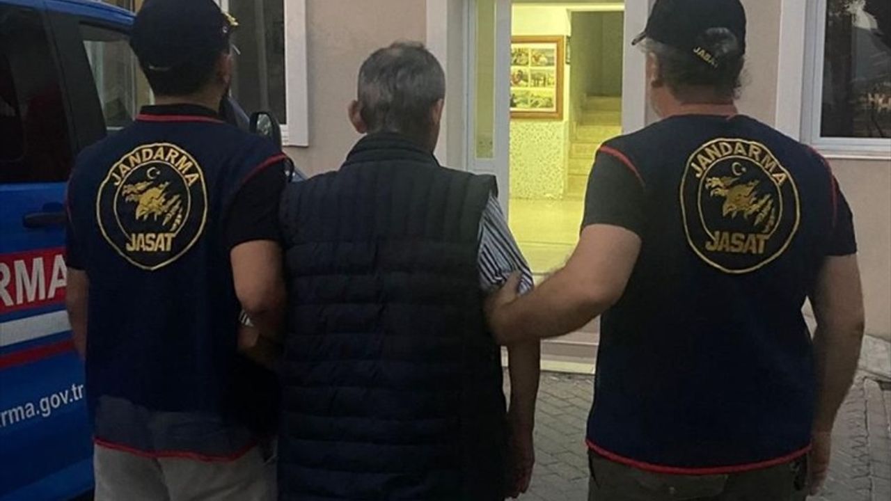 İzmir'de Sahipsiz Hayvanların Ölümü: 1 Tutuklama