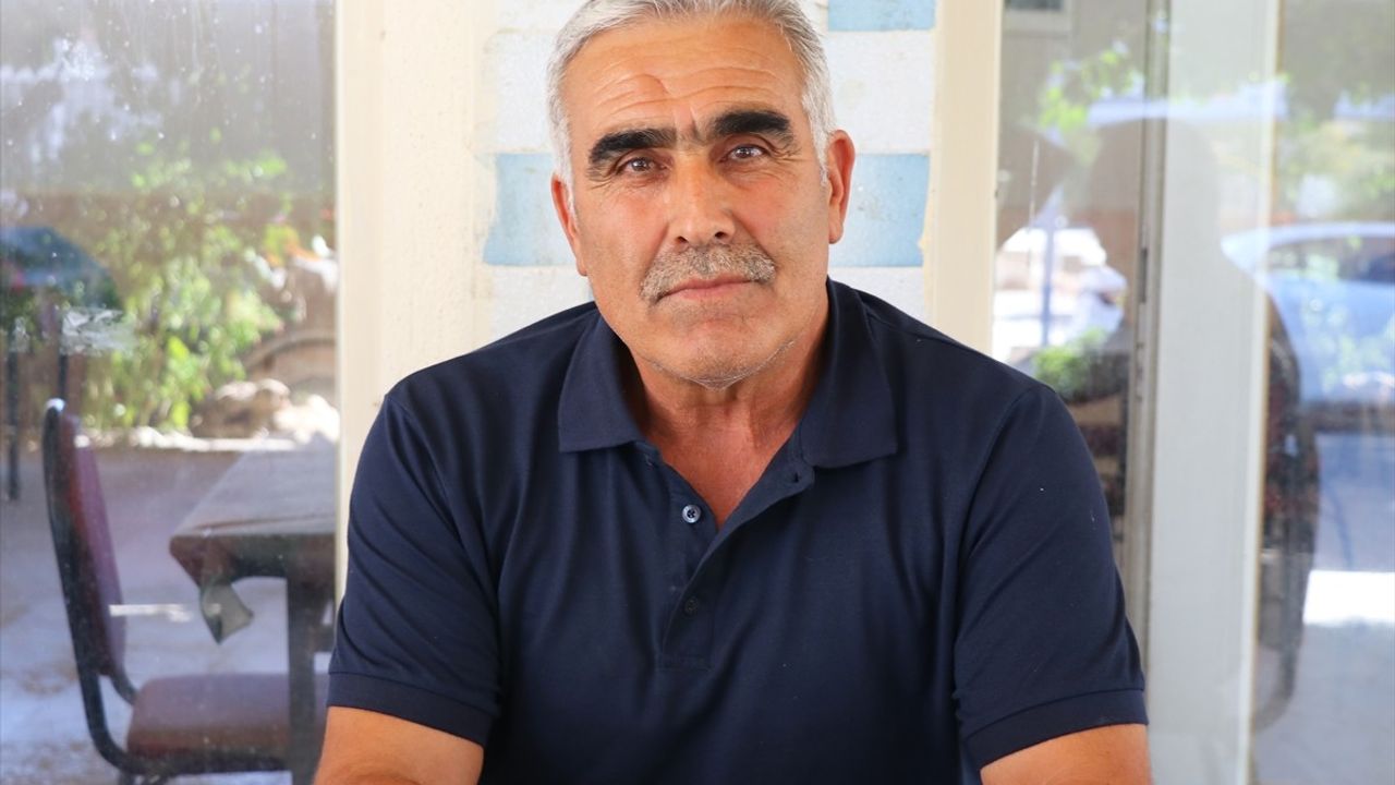 İzmir'de Sahipsiz Köpeklerden Kaçarken Kadın Hayatını Kaybetti