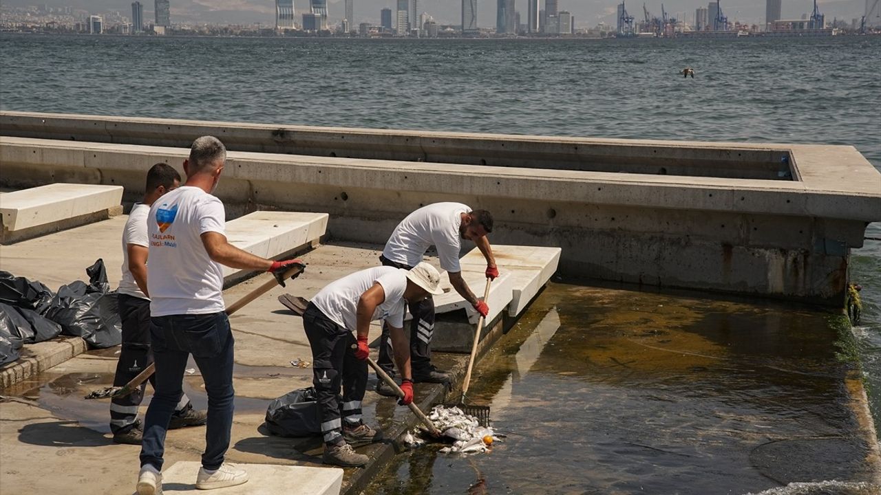İzmir Körfezi'nde Balık Ölümleri Yeniden Başladı