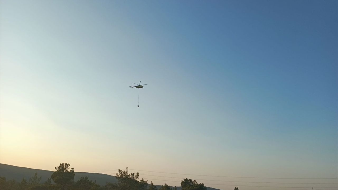 İzmir'de Tarım Alanında Başlayan Yangın Kontrol Altına Alındı