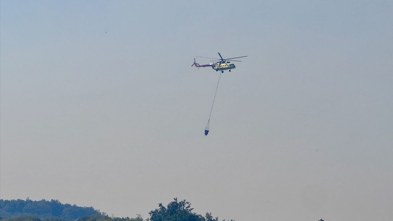 İznik'te Makilik Alanda Yangın Müdahalesi Başlatıldı